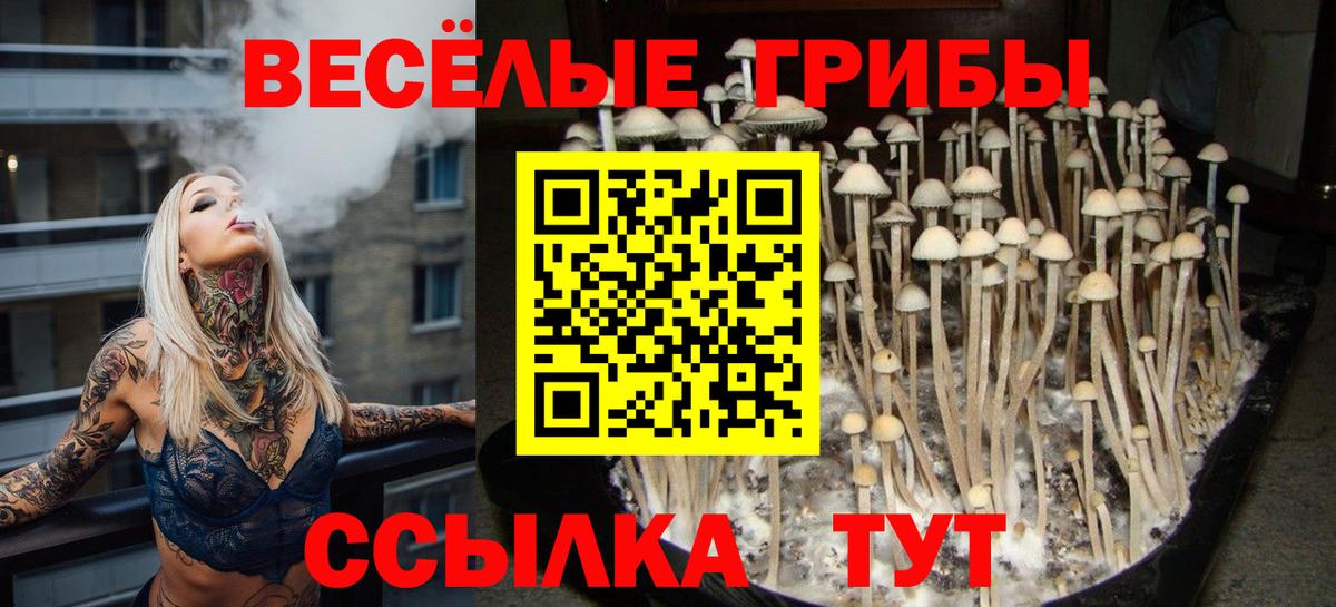 Галлюциногенные грибы GOLDEN TEACHER Кингисепп